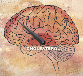 cholesterol_brain-1